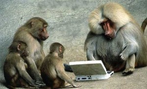 Baboons infected the computers