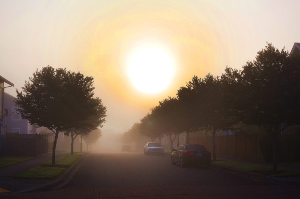 vehicles parked on the side of the road; sun and trees