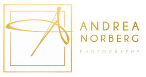 Andrea Norberg Photography logo